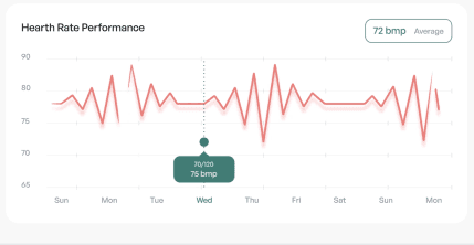 Heart Rate Performance